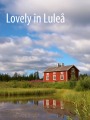 Kayaks and Cabins - Sweden - Lulea